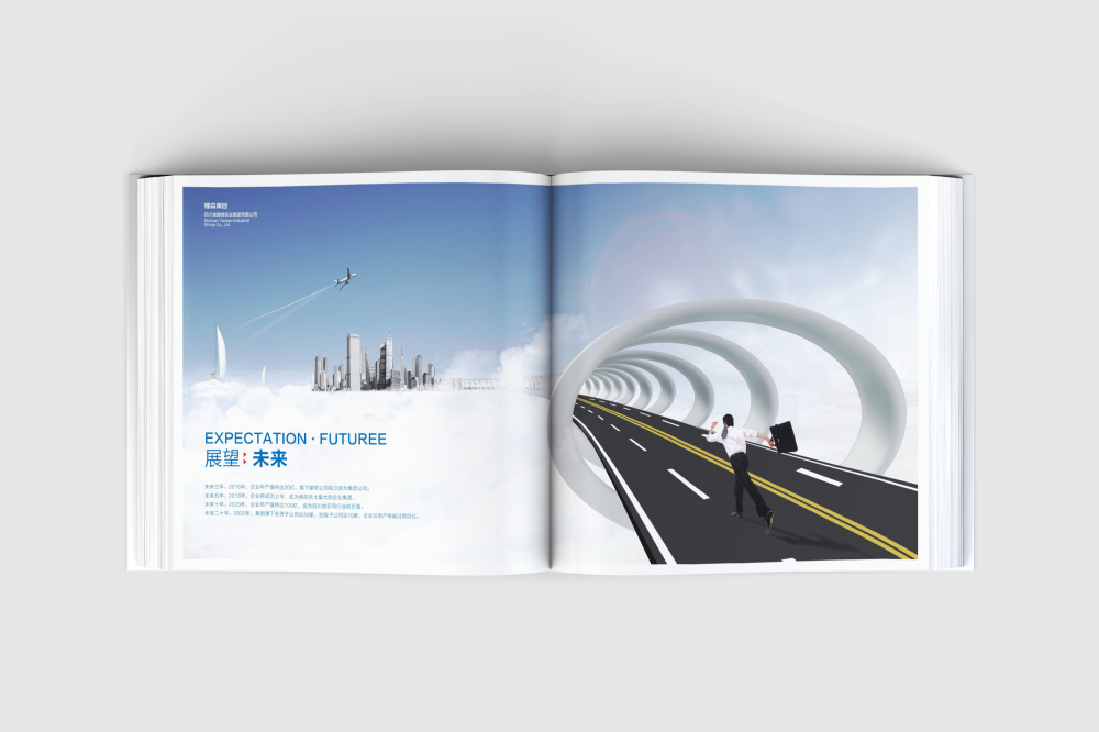 灯塔市画册设计